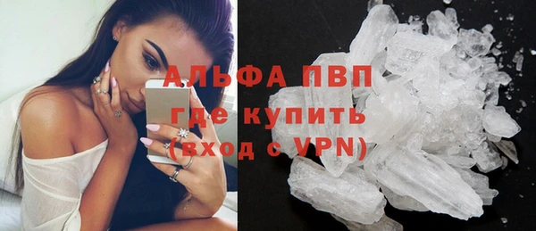 дмт Краснослободск