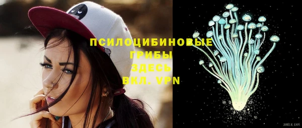 прущие грибы Красноперекопск