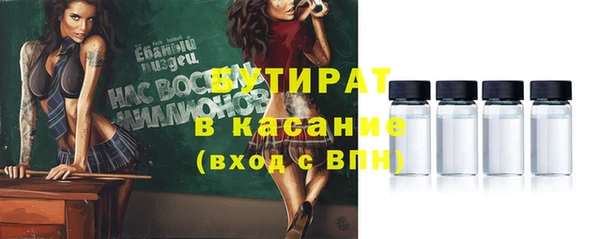 дмт Краснослободск