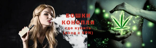 дмт Краснослободск