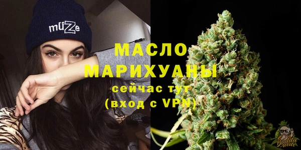 дмт Краснослободск