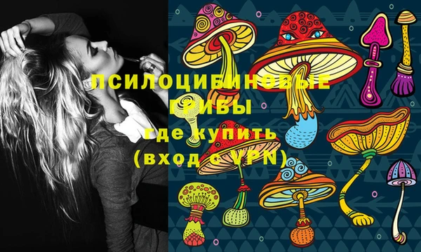 дмт Краснослободск