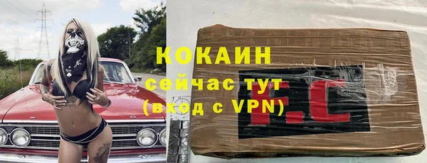 прущие грибы Красноперекопск