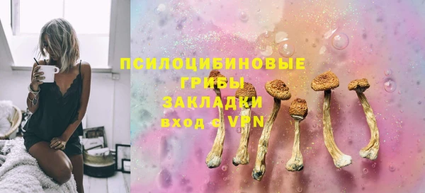 прущие грибы Красноперекопск