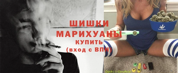 дмт Краснослободск