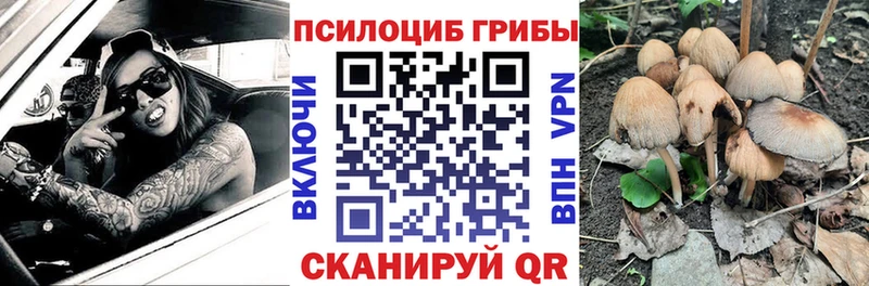 где продают   KRAKEN зеркало  Галлюциногенные грибы Cubensis  Михайловка 