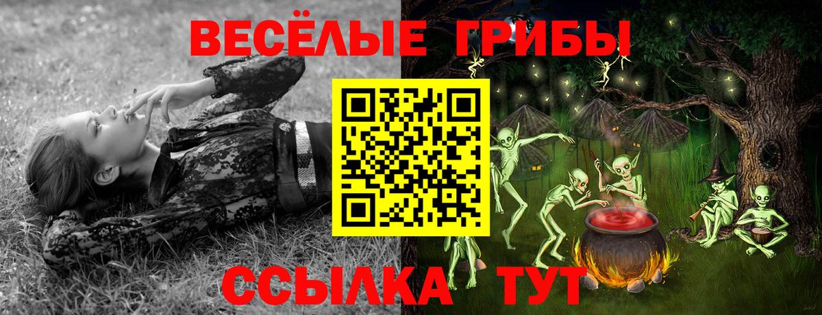 Галлюциногенные грибы Psilocybine cubensis  Галлюциногенные грибы ЛСД  Михайловка  Вход с VPN 