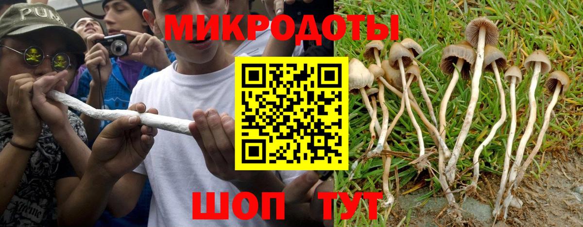 Псилоцибиновые грибы мухоморы Михайловка