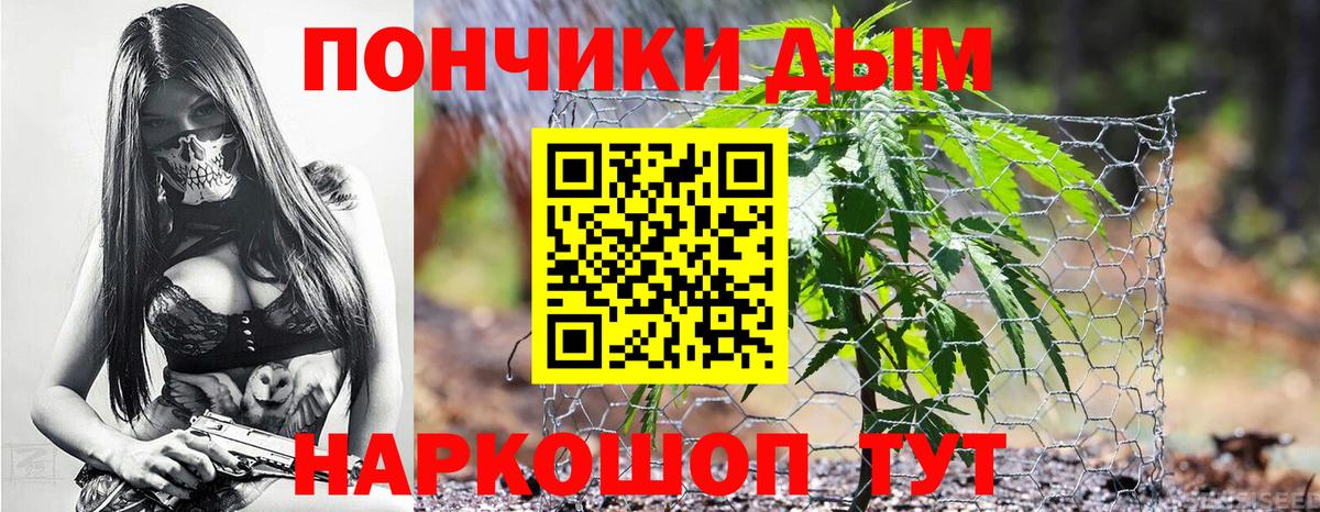 Бошки марихуана ГИДРОПОН Михайловка